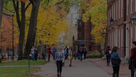 纽约州立大学新帕尔兹分校