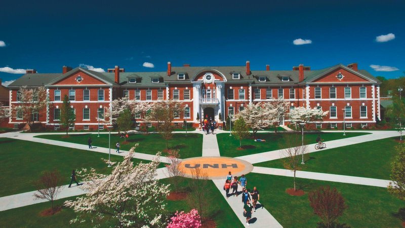 纽黑文大学